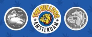 Bulldog - why trademark a logo?