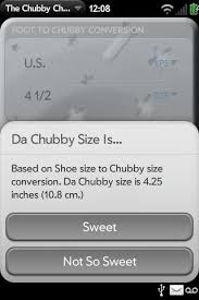 Is the Chubby Checker app an infringement of Ernst Evans trademark rights